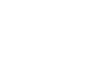 Flex Pay