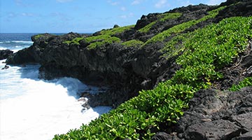 Haleakala National Park