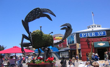 San Francisco Hotels Flightsfares Pier 39