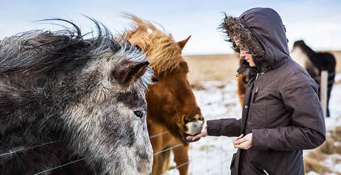 horse-riding